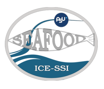 ICE-SSI